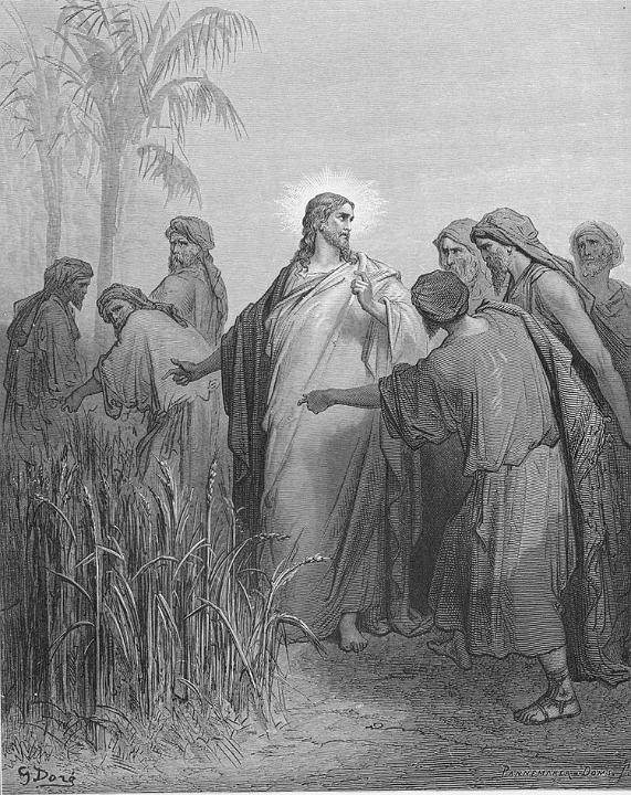 Dore_41_Mark02_The Disciples Pick Corn on the Sabbath